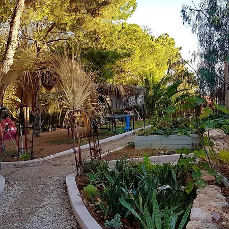 Koala Valdareina, Piscine Chauffee, Benagil-carvoeiro Carvoeiro (Lagoa)