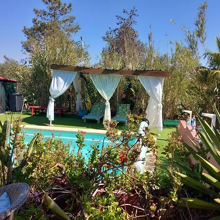 Tiny House Koala Valdareina, Piscine Chauffee, Benagil-carvoeiro 公寓