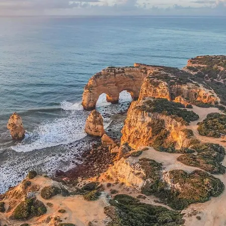 Koala Valdareina, Piscine Chauffee, Benagil-carvoeiro Carvoeiro (Lagoa)