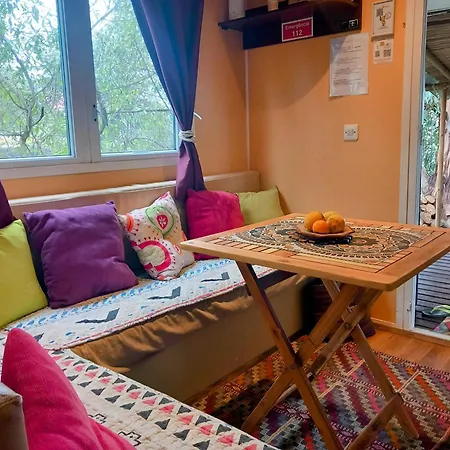 Tiny House Koala Valdareina, Piscine Chauffee, Benagil-carvoeiro *