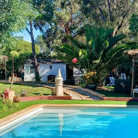 Tiny House Koala Valdareina, Piscine Chauffee, Benagil-carvoeiro Lejlighed