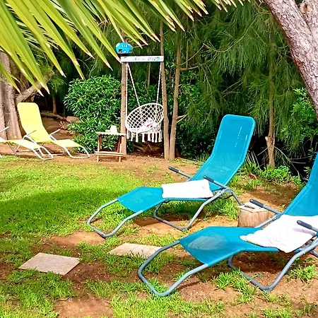Koala Valdareina, Piscine Chauffee, Benagil-carvoeiro *