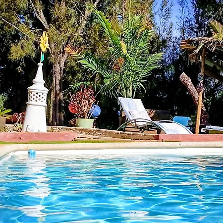 Appartement Tiny House Koala Valdareina, Piscine Chauffee, Benagil-carvoeiro *