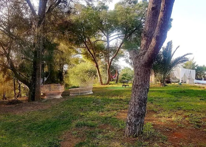 公寓 Tiny House Koala Valdareina, Piscine Chauffee, Benagil-carvoeiro 卡武埃鲁