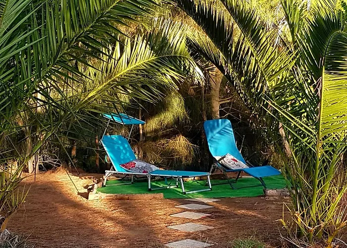 公寓 Tiny House Koala Valdareina, Piscine Chauffee, Benagil-carvoeiro 卡武埃鲁