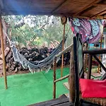 Appartement Tiny House Koala Valdareina, Piscine Chauffee, Benagil-carvoeiro