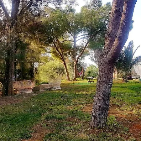 公寓 Tiny House Koala Valdareina, Piscine Chauffee, Benagil-carvoeiro 卡武埃鲁