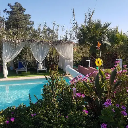 Tiny House Koala Valdareina, Piscine Chauffee, Benagil-carvoeiro Apartment Carvoeiro (Lagoa)