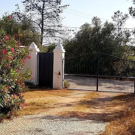 Koala Valdareina, Piscine Chauffee, Benagil-carvoeiro * Carvoeiro (Lagoa)