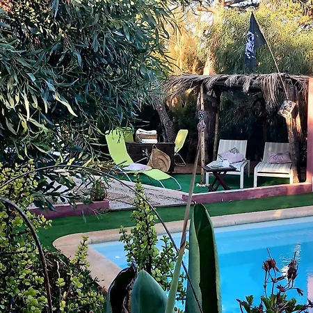 Koala Valdareina, Piscine Chauffee, Benagil-carvoeiro