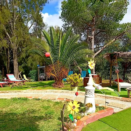 Tiny House Koala Valdareina, Piscine Chauffee, Benagil-carvoeiro