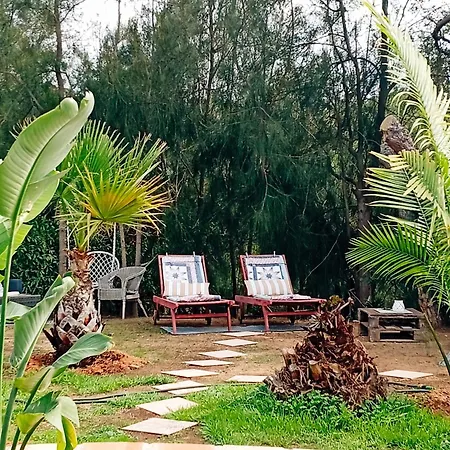 Casa Koala Da Valdareina, Bénagil, Carvoeiro, Marinha Carvoeiro (Lagoa)