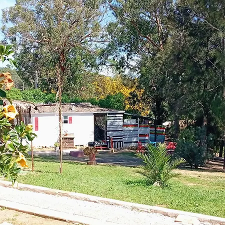 Tiny House Koala Valdareina, Piscine Chauffee, Benagil-carvoeiro 公寓 卡武埃鲁