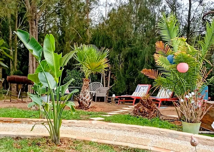 Tiny House Koala Valdareina, Piscine Chauffee, Benagil-carvoeiro