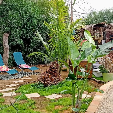 Tiny House Koala Valdareina, Piscine Chauffee, Benagil-carvoeiro Apartman *
