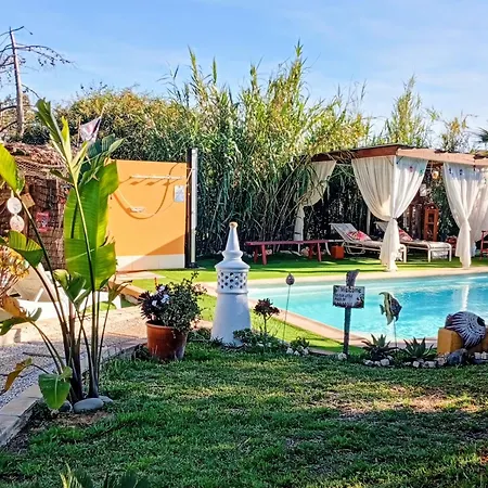 Tiny House Koala Valdareina, Piscine Chauffee, Benagil-carvoeiro Apartman
